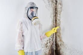 Mold Remediation for Rental Properties in Conway, PA